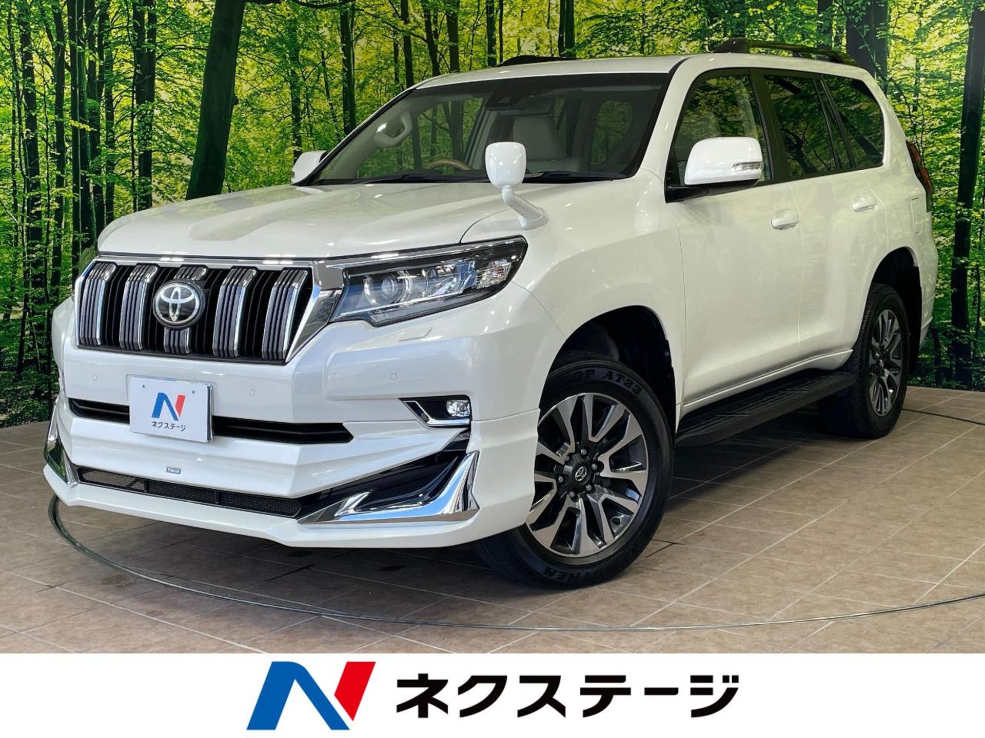 TOYOTA LAND CRUISER PRADO - View 1