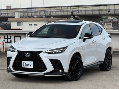 2023 Lexus NX — миниатюра 11