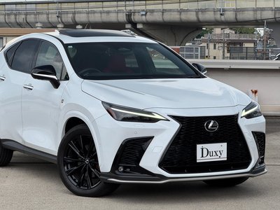 2023 Lexus NX — миниатюра 19