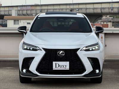 2023 Lexus NX — миниатюра 14
