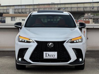 2023 Lexus NX — миниатюра 23