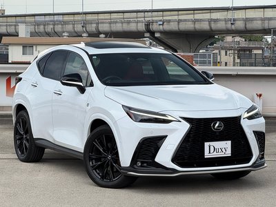 2023 Lexus NX — фото 10