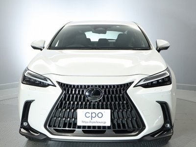 LEXUS NX - 10