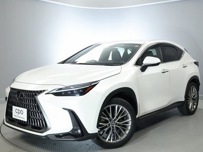 LEXUS NX - 8
