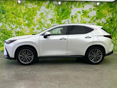 LEXUS NX - 2