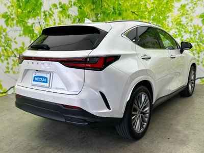 LEXUS NX - 3