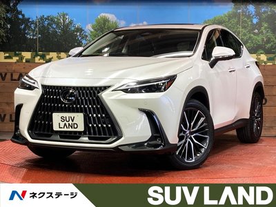 LEXUS NX - 1