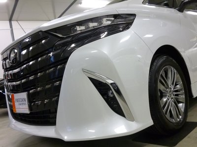 TOYOTA ALPHARD - 3