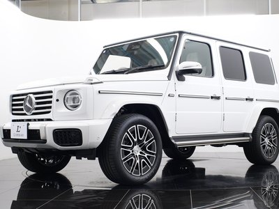صورة مصغرة 40 لـ 2025 Mercedes-BENZ G-CLASS
