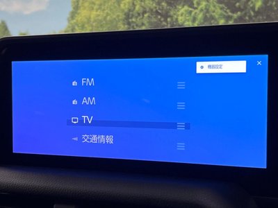 2025 Toyota LAND CRUISER 250 缩略图 37