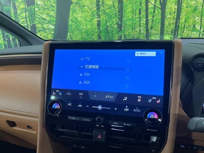 2025 Toyota VELLFIRE 缩略图 50