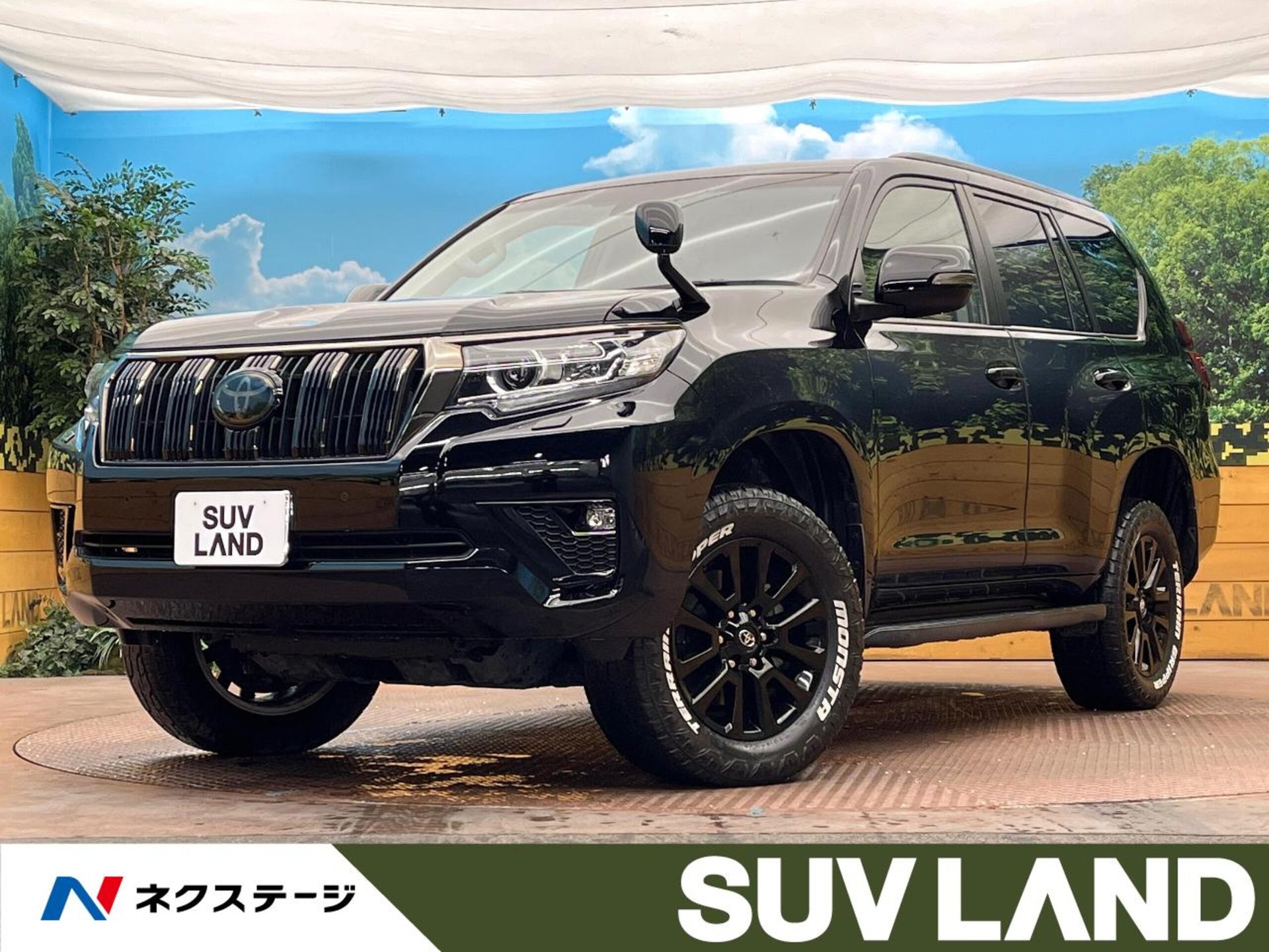 TOYOTA LAND CRUISER PRADO - View 1