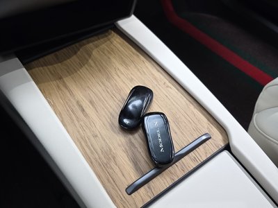 2019 Tesla MODEL X 缩略图 28