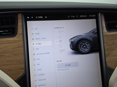 2019 Tesla MODEL X 缩略图 32