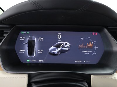 2019 Tesla MODEL X 缩略图 11