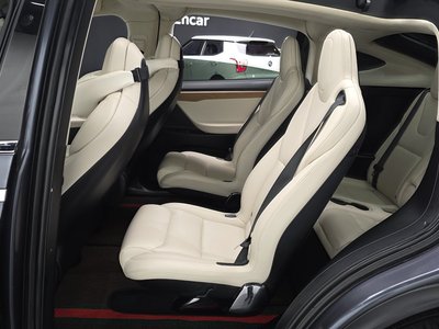 2019 Tesla MODEL X 缩略图 18