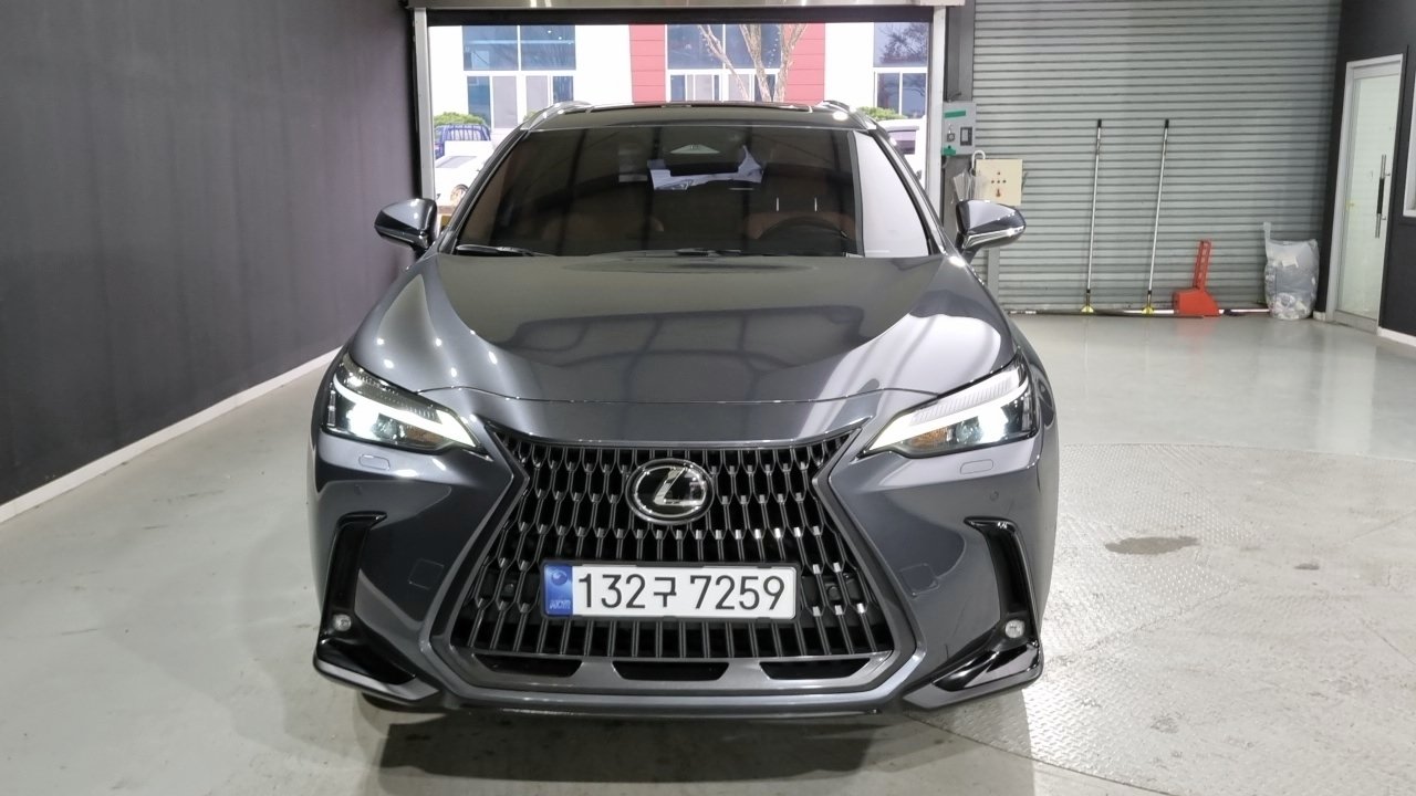 LEXUS NX - View 1