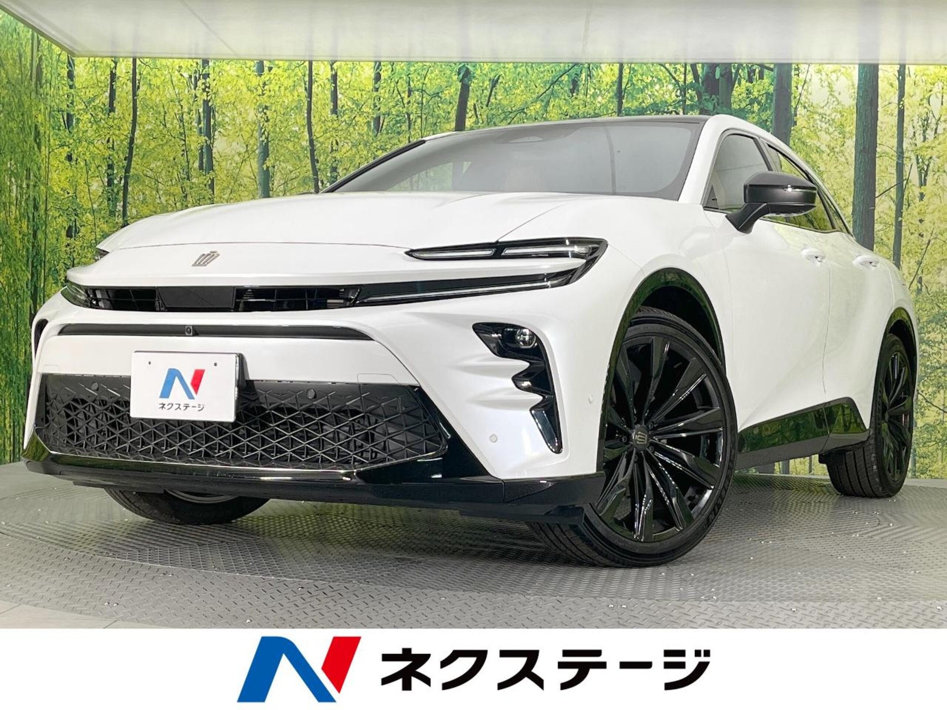 TOYOTA CROWN SPORT - View 1