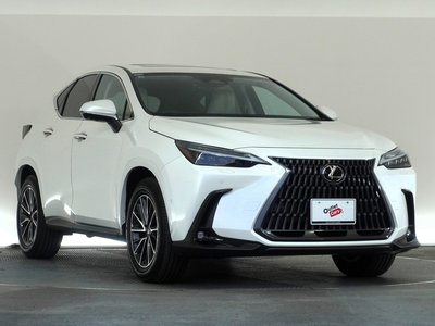 LEXUS NX - 6