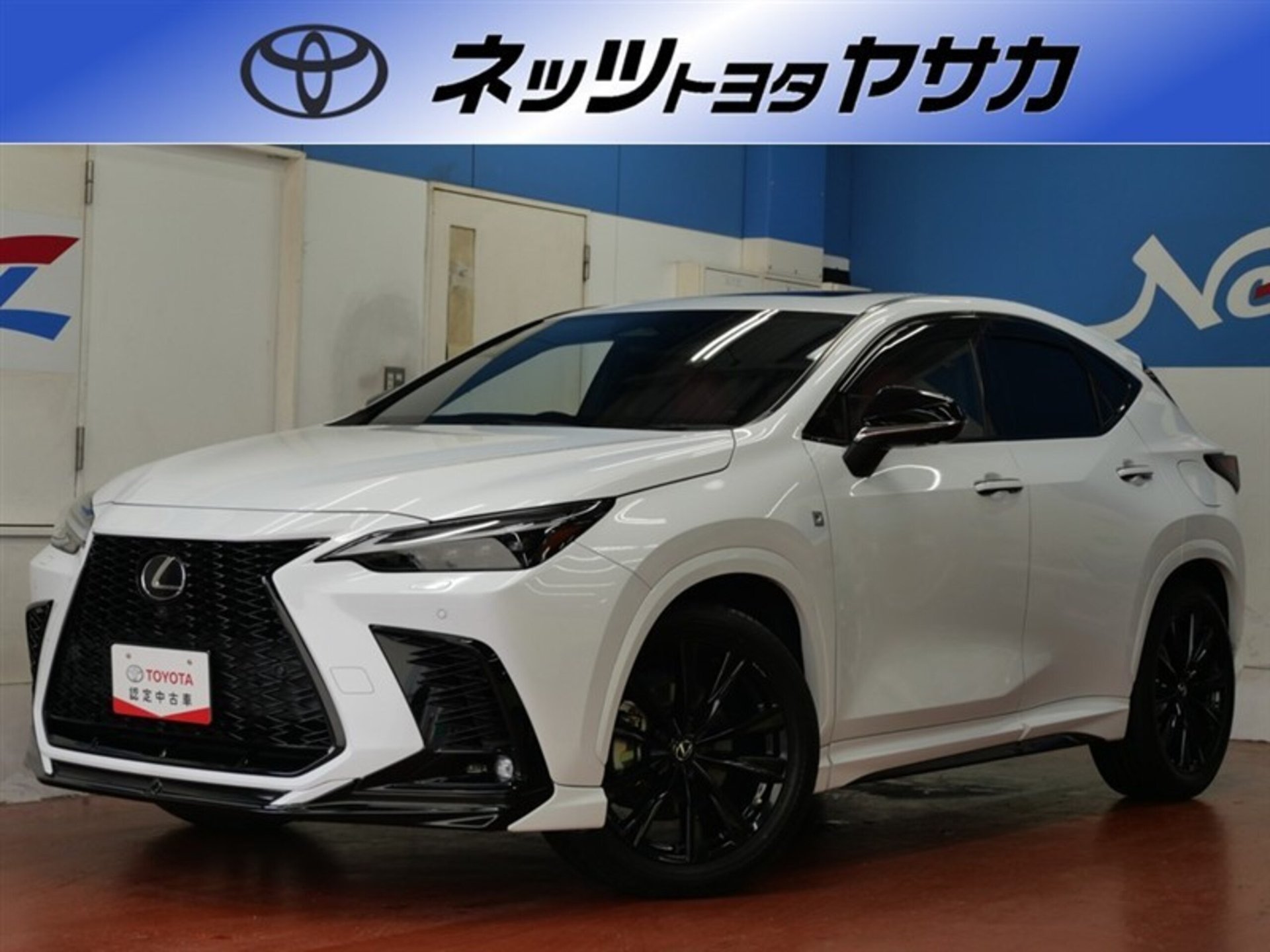 LEXUS NX - View 1