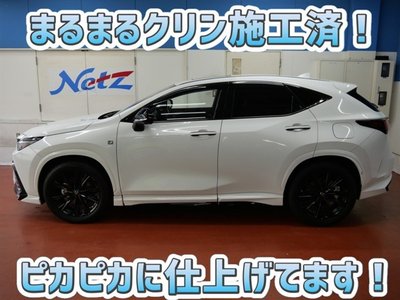 LEXUS NX - 4