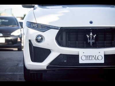 2019 Maserati MASERATI LEVANTE 照片 4