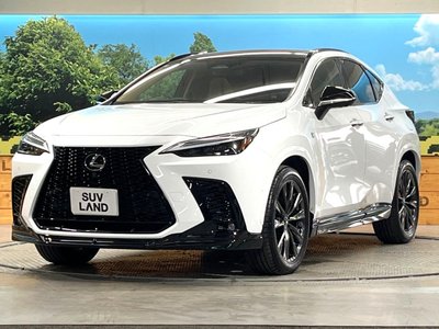 صورة مصغرة 35 لـ 2025 Lexus NX