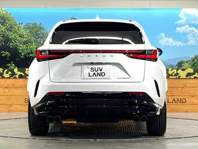 صورة مصغرة 15 لـ 2025 Lexus NX