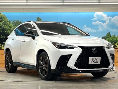 صورة مصغرة 16 لـ 2025 Lexus NX