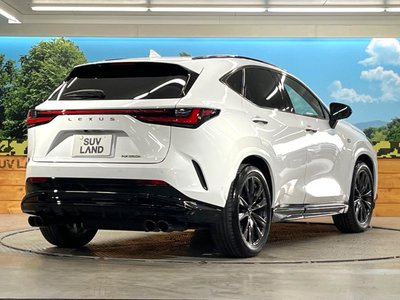 صورة مصغرة 17 لـ 2025 Lexus NX