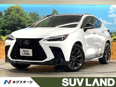 2025 Lexus NX 照片 1