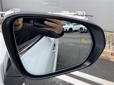 صورة مصغرة 36 لـ 2025 Lexus RX