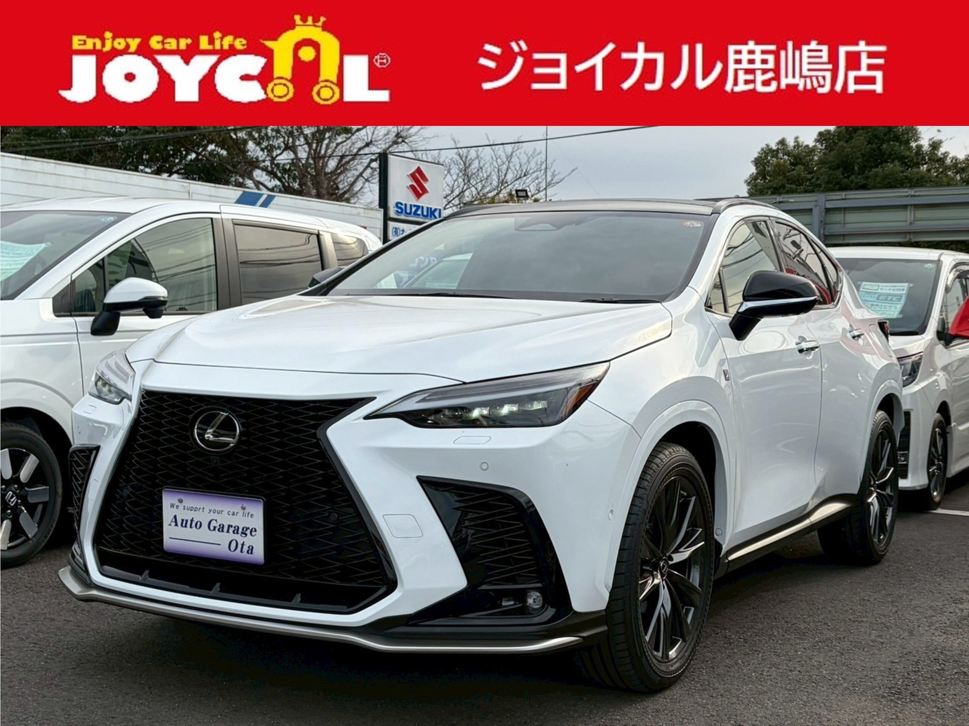 LEXUS NX - View 1