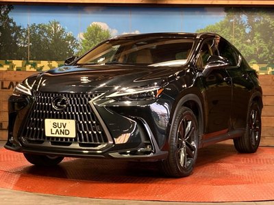 صورة مصغرة 26 لـ 2023 Lexus NX