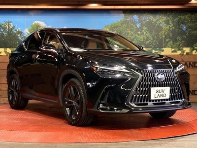 صورة مصغرة 16 لـ 2023 Lexus NX