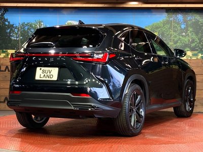 صورة مصغرة 17 لـ 2023 Lexus NX