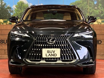 صورة مصغرة 14 لـ 2023 Lexus NX