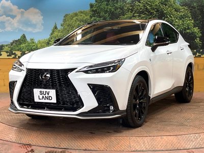 صورة مصغرة 66 لـ 2022 Lexus NX