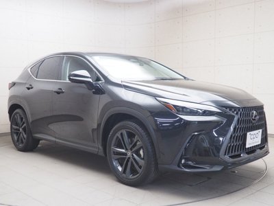 LEXUS NX - 8