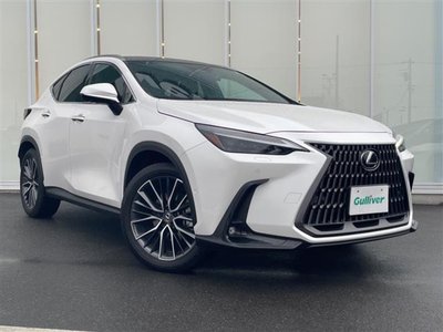 2023 Lexus NX 照片 2