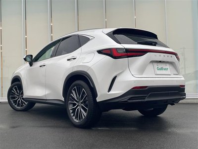 2023 Lexus NX — миниатюра 43
