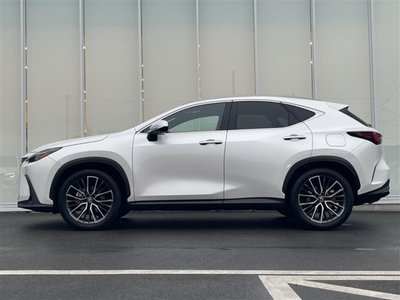 2023 Lexus NX — миниатюра 36