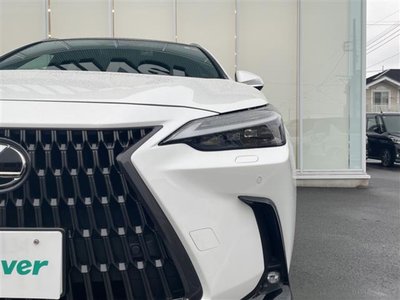 2023 Lexus NX — миниатюра 30
