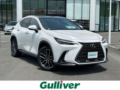 2023 Lexus NX 照片 1