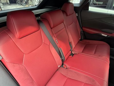 LEXUS RX F SPORT - 9