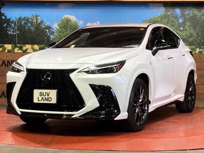 2023 Lexus NX — миниатюра 26