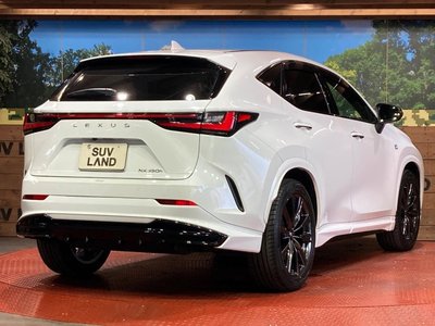 2023 Lexus NX — миниатюра 17