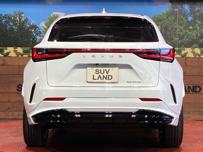 2023 Lexus NX — миниатюра 15