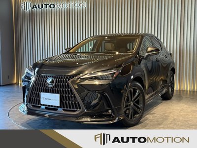 LEXUS NX - 1