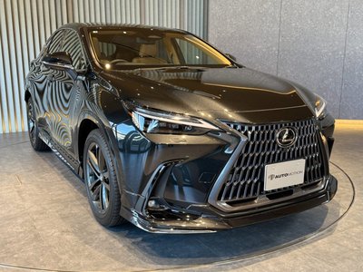 LEXUS NX - 8